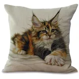 Kissenbezug 80x80 Orange Weiße Katze Kissenbezug 80x80 Sanft Baumwolle und Leinen Kopfkissenbezug 80x80 mit Reißverschluss Dauerhaft Kissenbezüge 80x80 Knitterfreie Starke Atmungsaktivität 1 Pcs