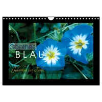 Calvendo Goethes Blau. Gedanken zur Farbe (Wandkalender 2026 DIN