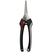 Bellota 3621 Traubenschere aus Edelstahl