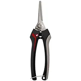 Bellota 3621 Traubenschere aus Edelstahl