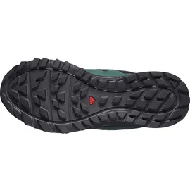 Salomon Wander GTX Herren Black/Darkest Spruce/Ibiza Blue 41 1/3