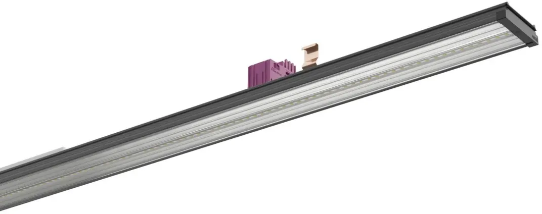 Ridi-Leuchten LED-Geräteträger, 7x VL2SGPS15 #2561004SW
