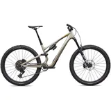 Specialized Stumpjumper 15 EVO Comp Mountainbike SJ COMP SNDSTNMET/CALSUN S3