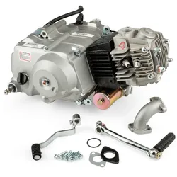 Motor komplett Lifan 107cc Halbautomatik mit elektr. Anlasser