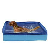 Hund Planschbecken, Hundepool Klein, Katzenpool Mit Fischen, PVC Hunde Planschbecken Klappbar Eckig, rutschfeste Aufblasfreie Wanne Für Welpen Kleine Katzen Und Haustiere