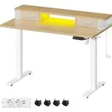 VASAGLE Schreibtisch höhenverstellbar und elektrisch 60 x 120 x (72-120) cm