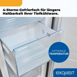 Exquisit GS5271-NF-H-040D Silber