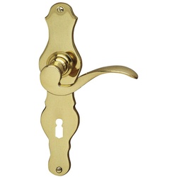 ALPERTEC Langschild-Garnitur »EvaEasy«, Messing - goldfarben