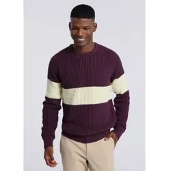 Bendorff für Herren. 870065099 Kastanienbrauner Pullover mit Kragen (S), Lässig, Baumwolle, Klassisch, Langarm
