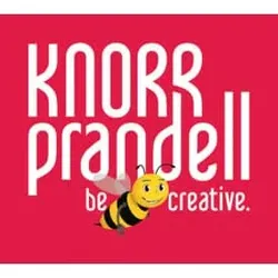 KNORR PRANDELL Styroporkugel D10cm weiß KNORR prandell 21-6760104