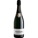 Brut Trentodoc Ferrari Spumante MAGNUM