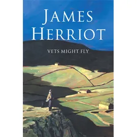 Vets Might Fly