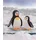 Glorex  Gipsbinde 10 cm x 5 m