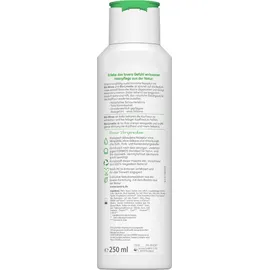 Lavera Frische & Balance Pflegeshampoo 250 ml