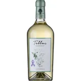 falesco/cotarella Tellus Chardonnay IGP 2024 18 x 0,75 l