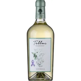falesco/cotarella Tellus Chardonnay IGP 2024 18 x 0,75 l