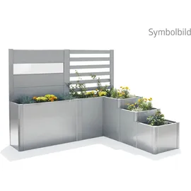 Biohort DaVinci Version 2 250 x 201 x 168 cm Silber