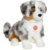 Teddy-Hermann Australian Shepherd Welpe