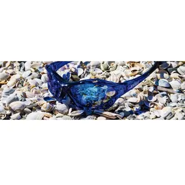 Jobe Knox, Polarisierte Sonnenbrille - One Size,