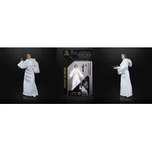 Hasbro Star Wars Prinzessin Leia Organa Figur 15 cm