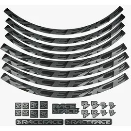 Race Face Decal Kit für Felgen Large / grau