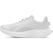 Under Armour GPS Ascend AL gray white (014) 2.5