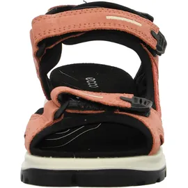 ECCO Offroad Damen burnt coal/spiced coral 41