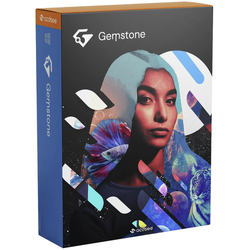 ACDSee Gemstone Photo Editor 12