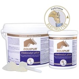 Vétoquinol Equipur elektrolyt plus Pulver 1 kg