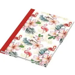 RNK Notizbuch Flamingo rot 46750 A5/96BL punktiert