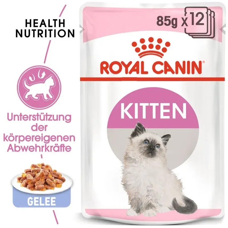 ROYAL CANIN KITTEN Nassfutter in Gelee für Kätzchen 12 x 85 g