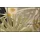 Wash+Dry Garden Soul 75 x 120 cm Beige/Grün