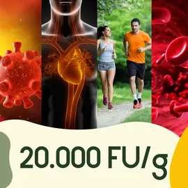 wurzelliebe Nattokinase 100 mg & 20.000 FU/g Kapseln 240 St.