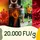 wurzelliebe Nattokinase 100 mg & 20.000 FU/g Kapseln 240 St.