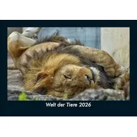 Vero Kalender Welt der Tiere 2026 Fotokalender DIN A5