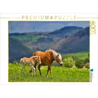 Calvendo Puzzle Haflinger Stute mit Fohlen | Lege-Größe cm