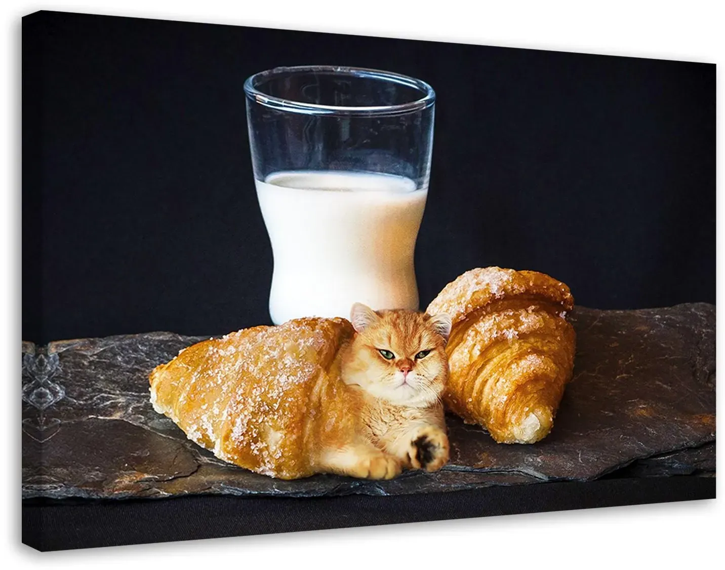 Leinwandbild Milchkatzen-Croissants-Nahrung