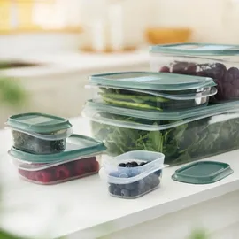 Rotho Frischhaltedose grün 6-teiliges Set