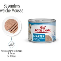 Royal Canin Starter Mousse Mother & Babydog 12 x 195 g