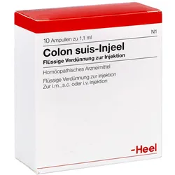 Colon Suis Injeel Ampullen