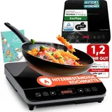 STILLSTERN Induktionskochfeld Induktionskochplatte 2100W 19 Stufen, 24h Timer,