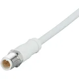IFM Electronic EVF522 Verbindungsleitung Stecker, gerade 50m Polzahl Sensoren: 4 1St.