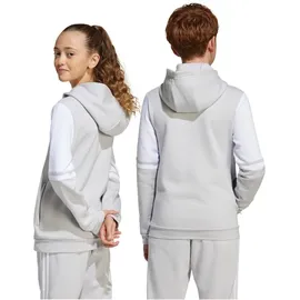 adidas Hoodie Grau/Weiß 116