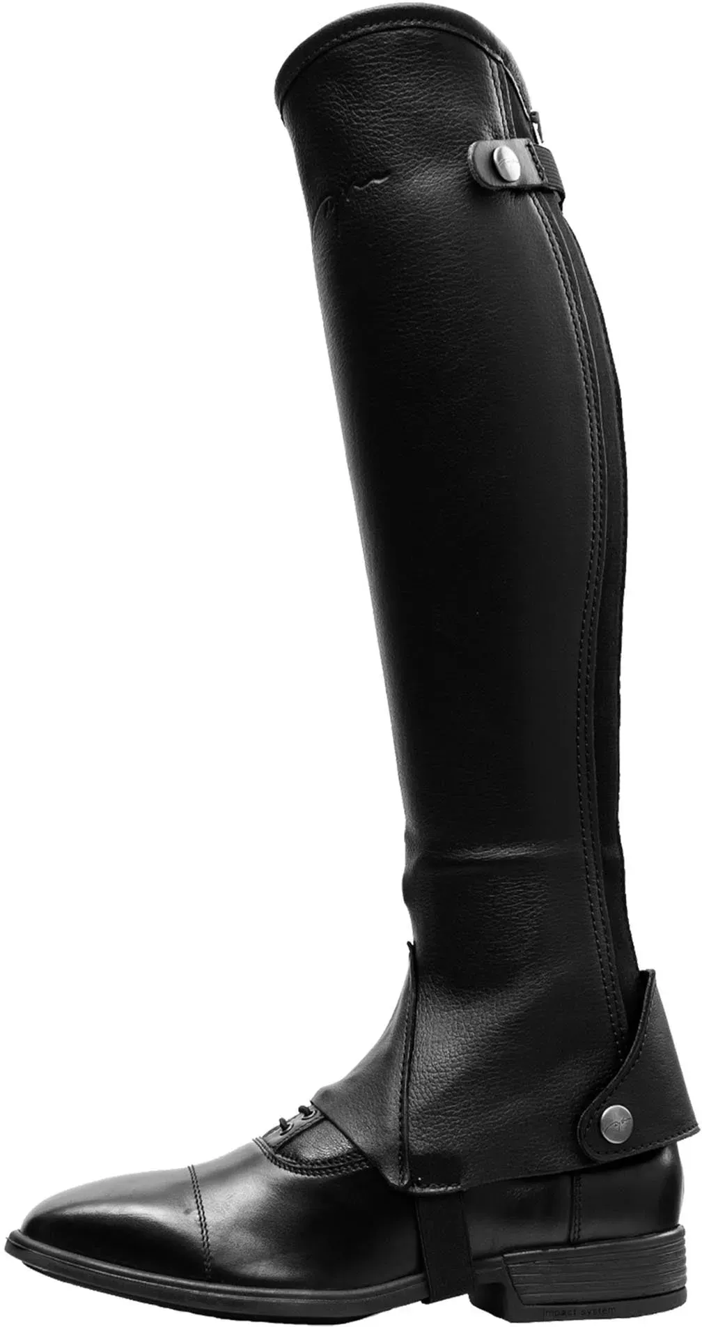 Dy'on Classic Standard Kurz-Chaps