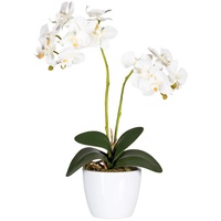 kunstpflanzen-discount.com Orchideen Kunstblume 50cm im Topf mit 2 Creme weiß farbigen Blüten - Künstliche Orchidee blühend