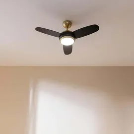 Cecotec EnergySilence Aero 4265 106,68 cm Deckenventilator Gold/Schwarz