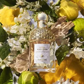 Guerlain Aqua Allegoria Bergamote Calabria Eau de Toilette 125 ml