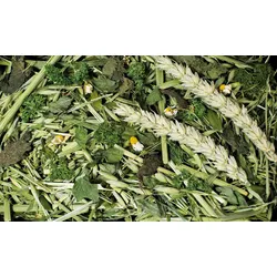 JR FARM Nager Kräutergarten Raufutter für Kleintiere 500 Gramm
