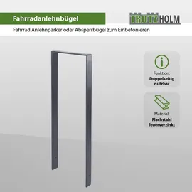 Trutzholm Fahrradanlehnbügel 119 x 39 cm Flachstahl 13 mm Anthrazit