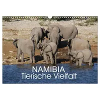 Calvendo Namibia - Tierische Vielfalt (Wandkalender 2026 DIN A3